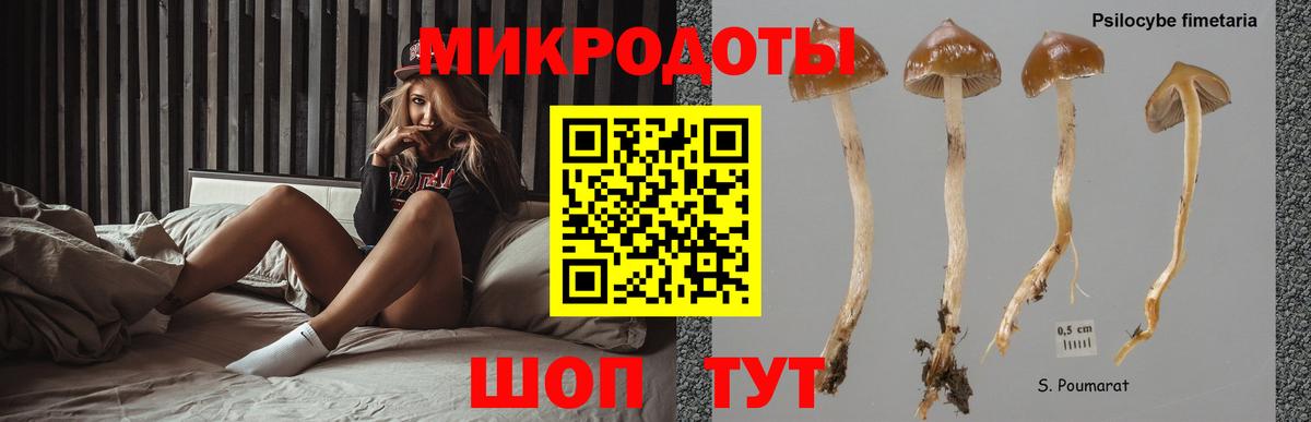 купить закладку  Вход с VPN  Новодвинск  Галлюциногенные грибы прущие грибы 